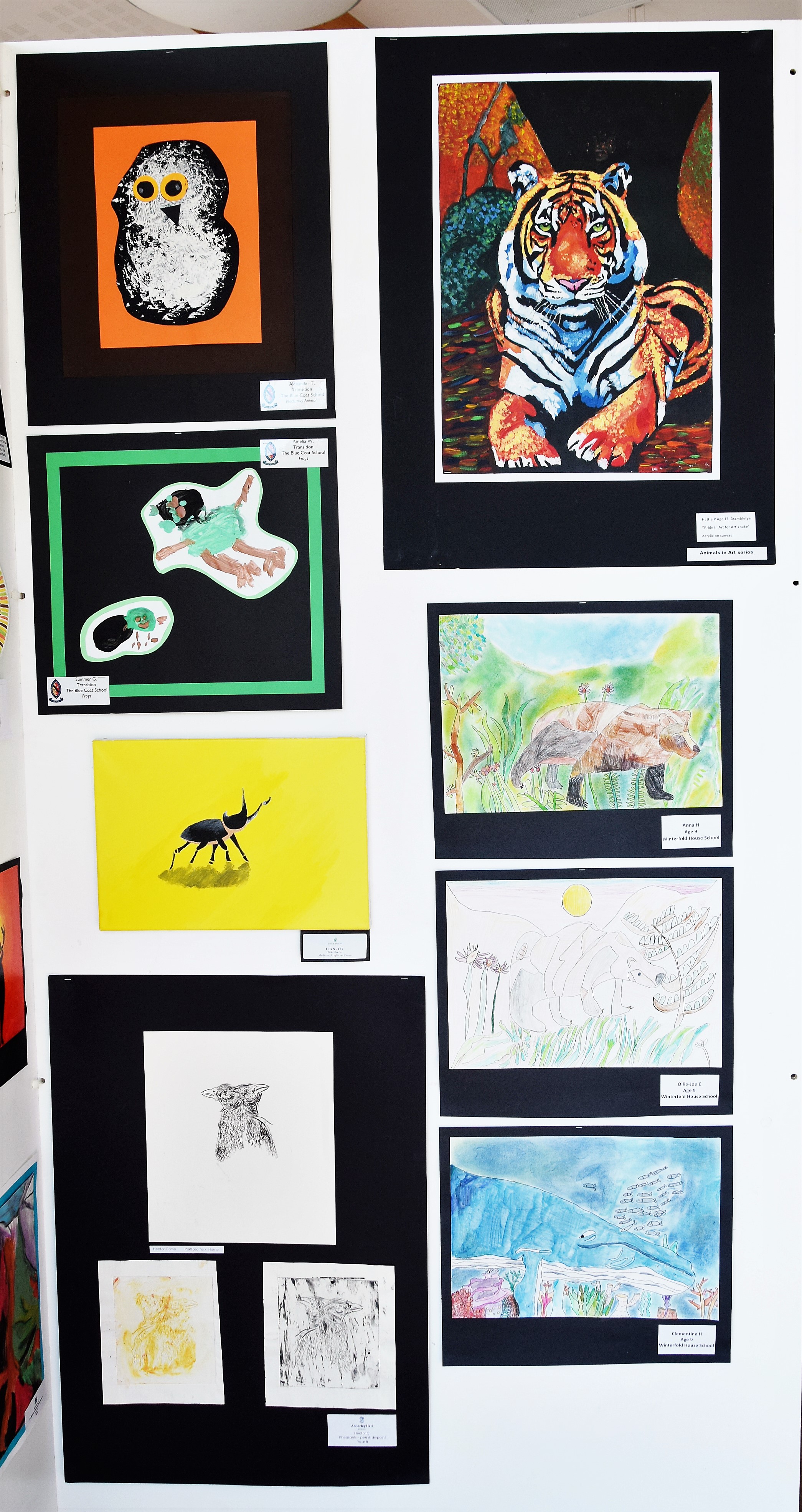 SATIPS 2019 Artwork on Display